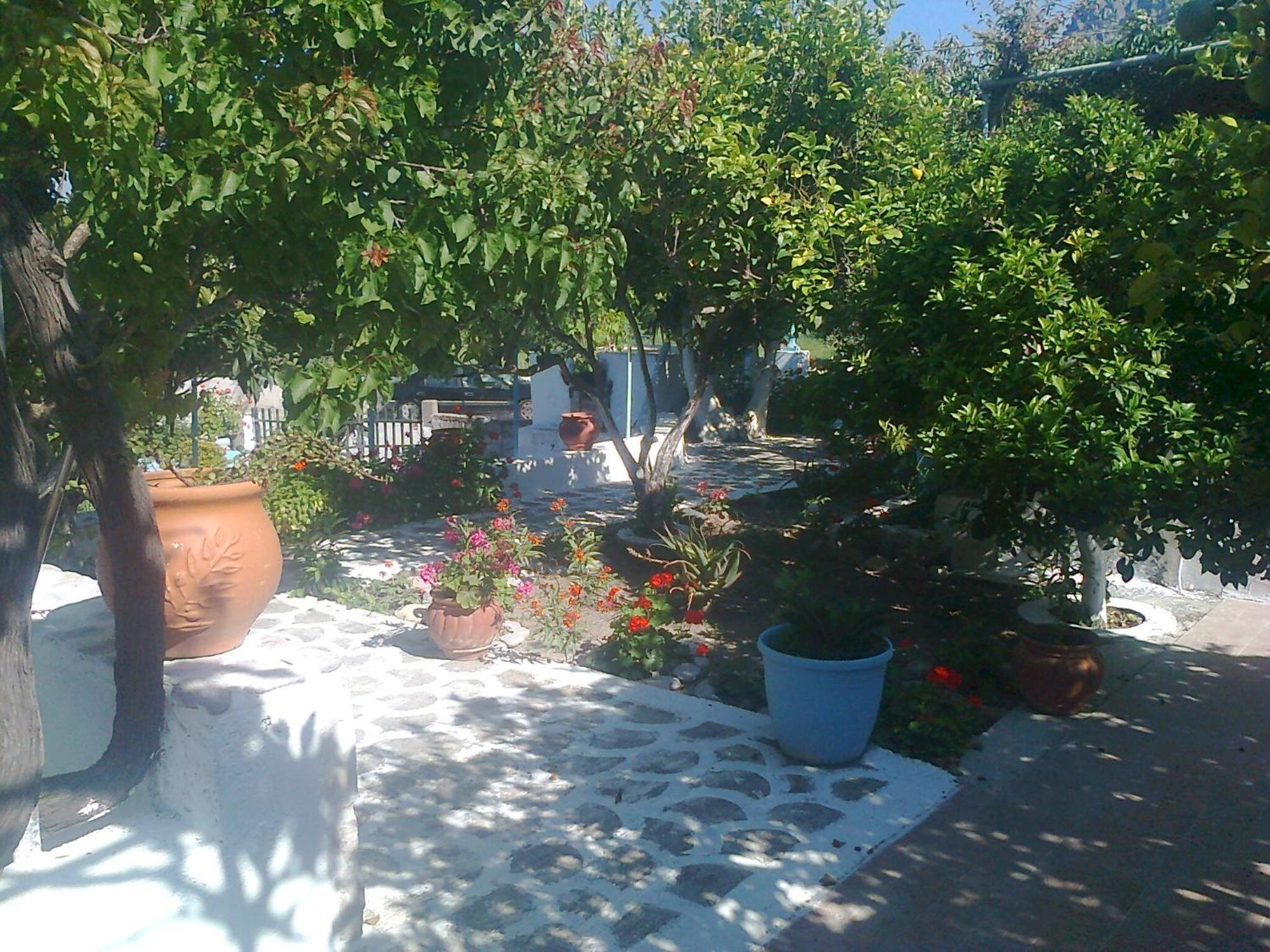 Dionysia Studios Kéfalos Exterior foto